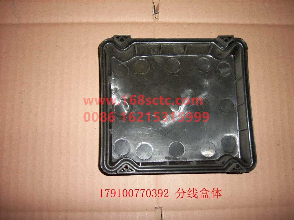 WG9100770392