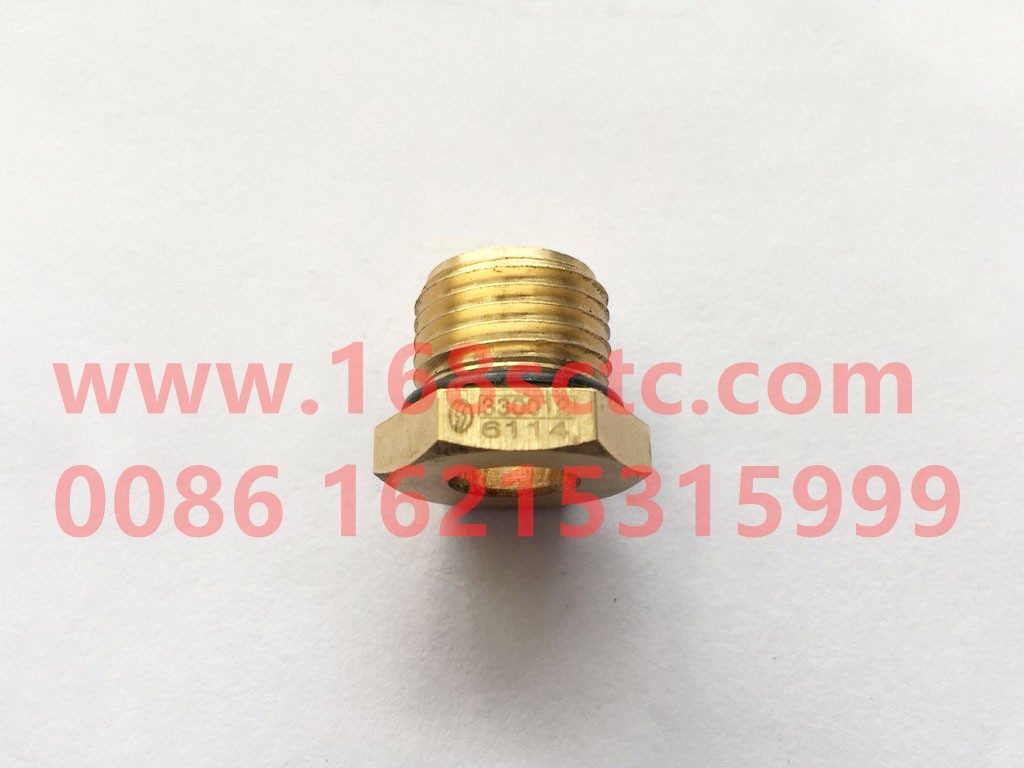 81.98181.6114-SHACMAN-Hex socket-DeLongF3000 2014Kuan