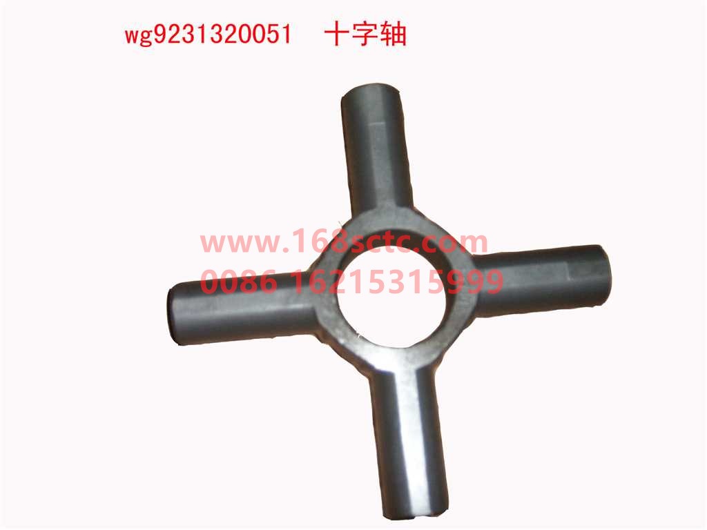 WG9231320051