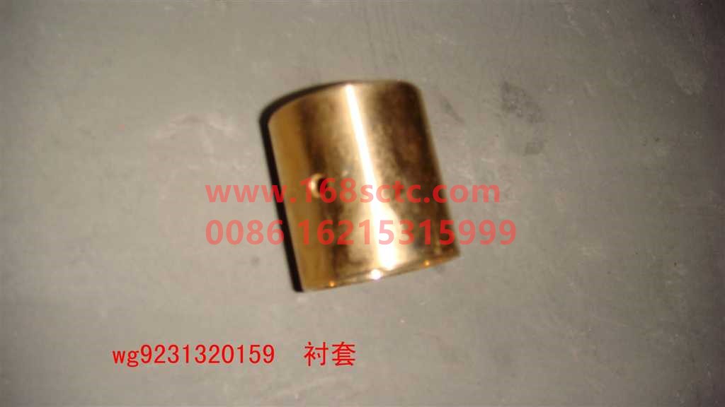 WG9231320159-SINOTRUK HOWO-Differential Planetary Gear Bushing 08payment-ZhongQiHouQiaoAC16