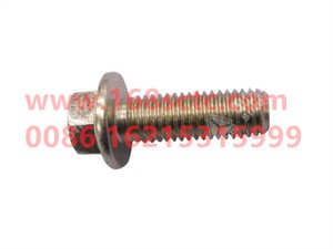 ZQ1801030-OTHERS-Hexagon flange face bearing toothed bolt M10x30-LiuJiaoTouLuoShuan