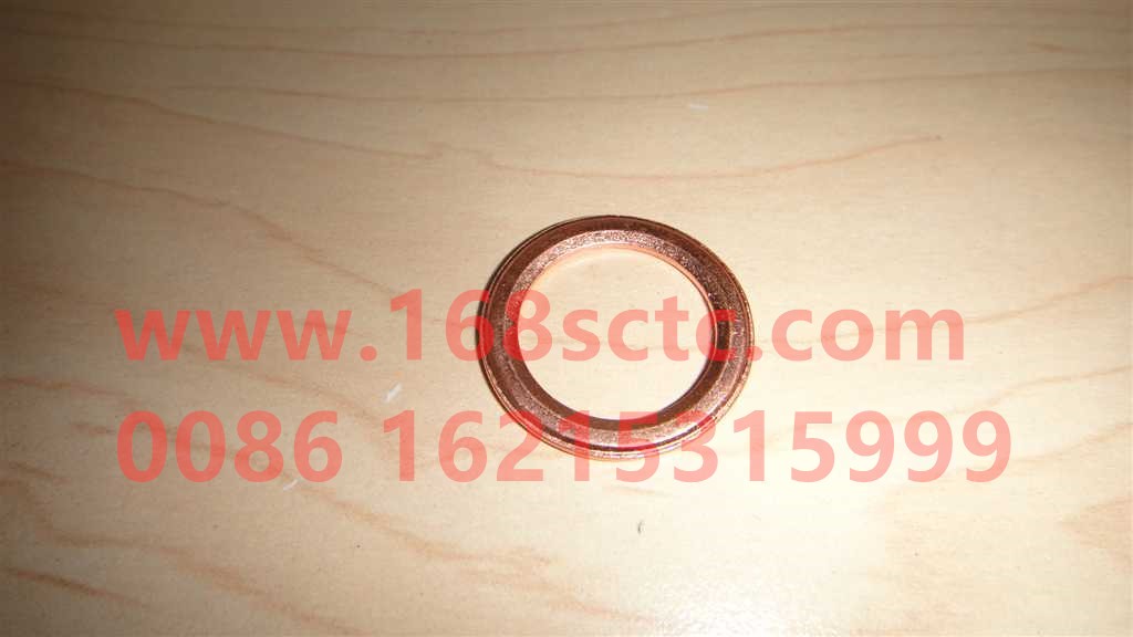VG1238040008-SINOTRUK HOWO-Spark plug bushing gasket-ZhongQiFaDongJiWD615.67