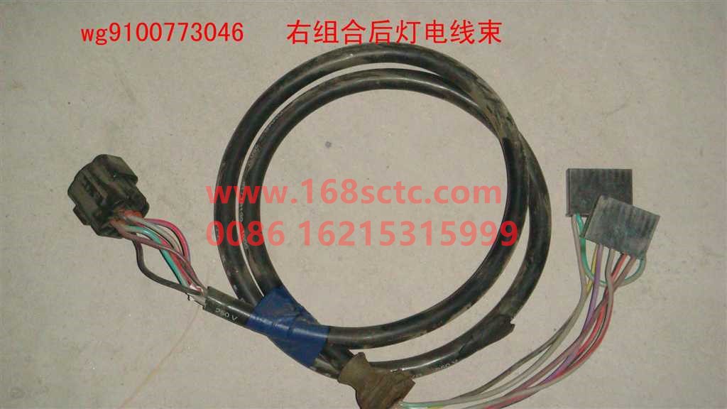 WG9100773046