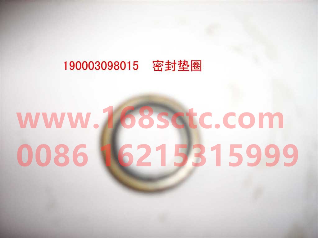 190003098018