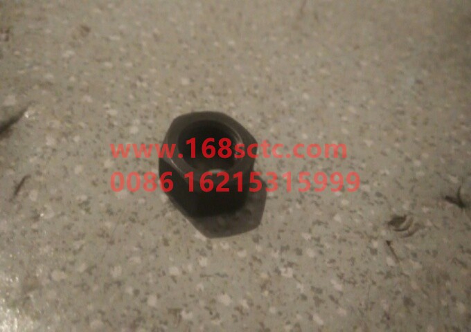 VG1246050056-SINOTRUK HOWO-Adjusting nut (adjusting nut EVB)-ZhongQiFaDongJiWD615.96NE
