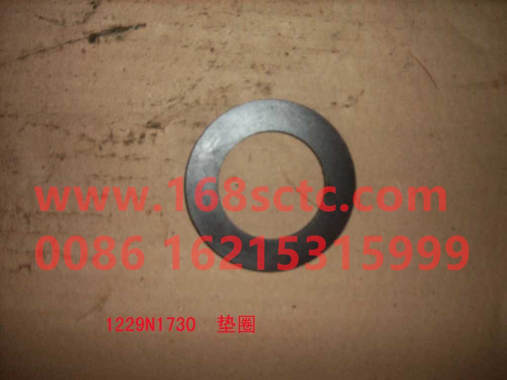 WG1229N1730-1