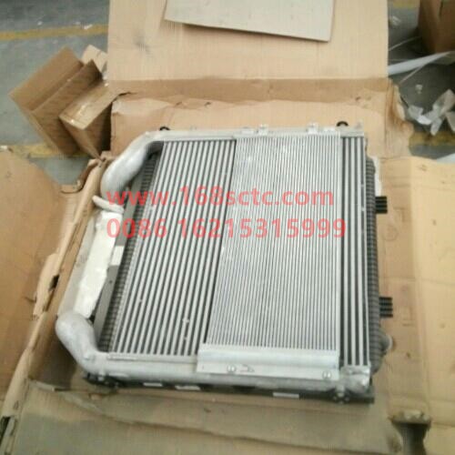 812W06100-0002-SINOTRUK HOWO-Radiator and intercooler (intercooler module)-ShanDeKaC7H