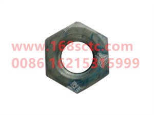 ZQ340B08T13F6-OTHERS-Hex nut type 1 M8-LiuJiaoTouLuoMu