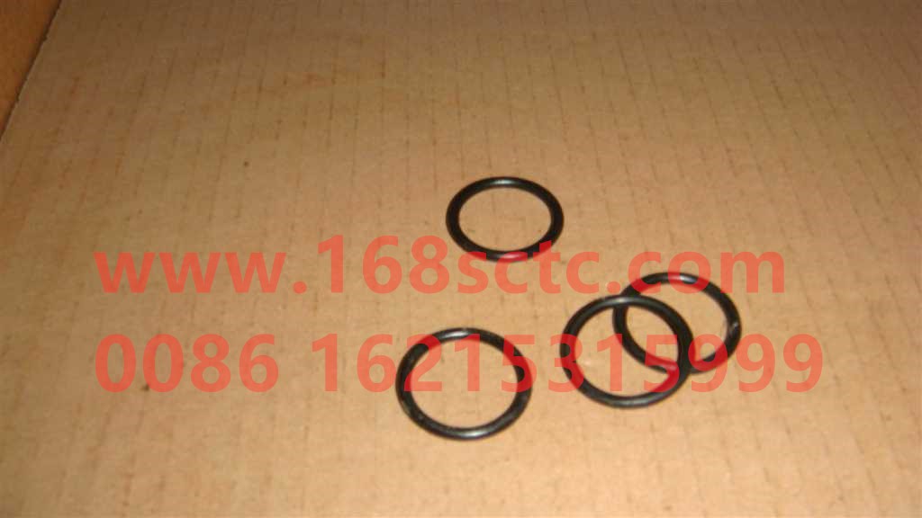 VG1096080003-SINOTRUK HOWO-Injector O-ring seal-ZhongQiFaDongJiWD615.97E