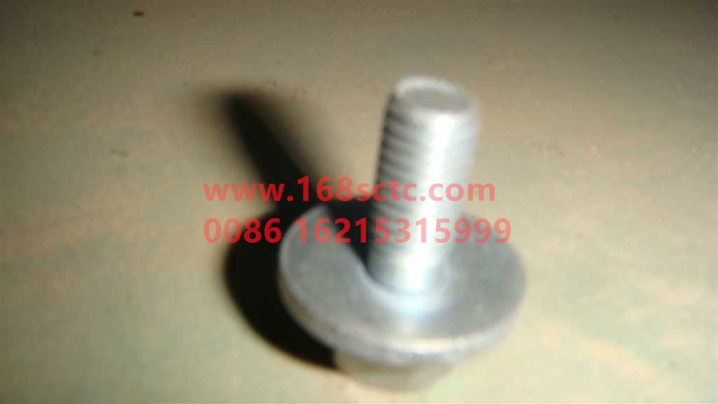 WG9925530061