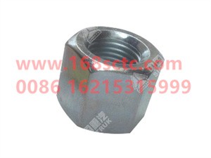 wg9731520042016
