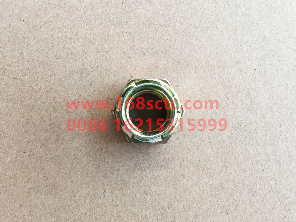 DZ93259590005-SHACMAN-Self-locking nut (stop back nut)-DeLongF2000 2015Kuan