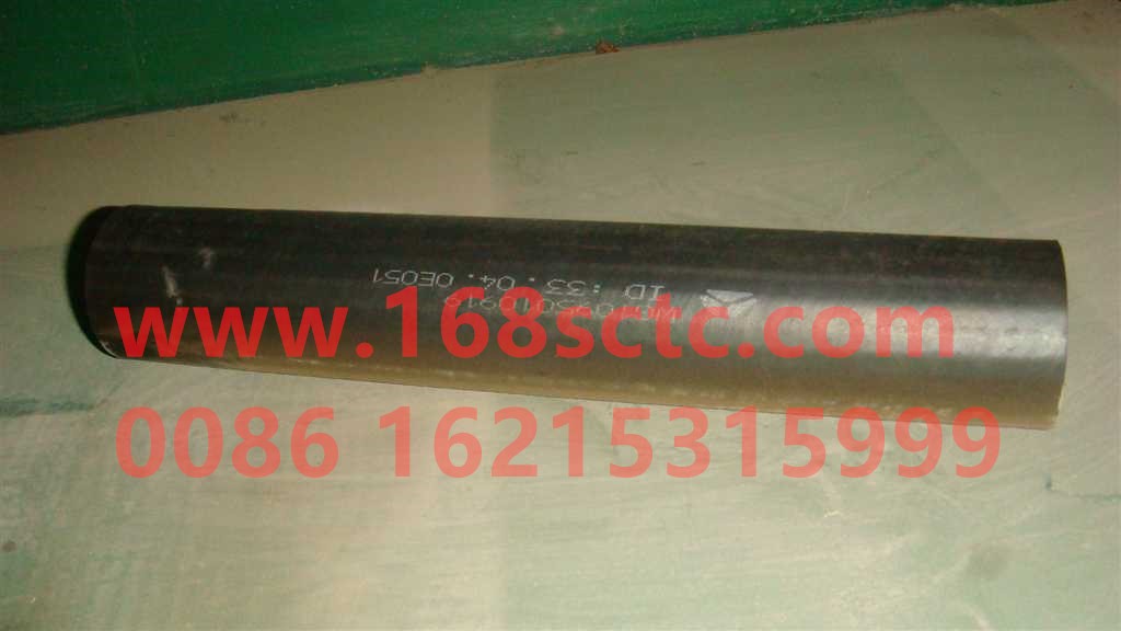 WG1095010919