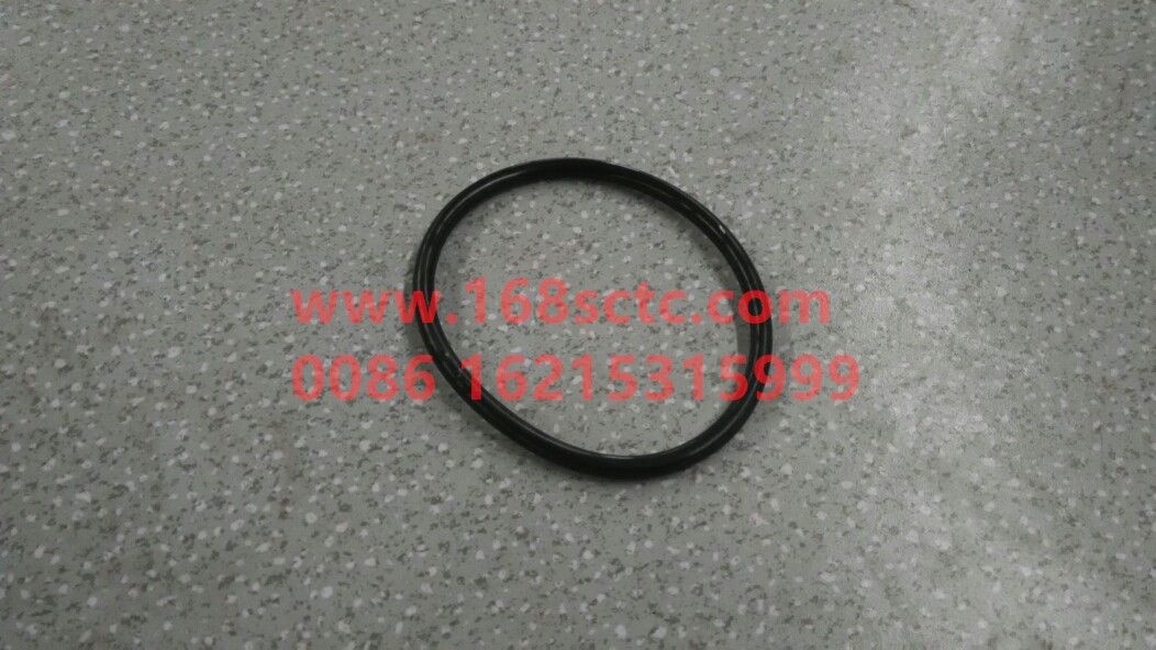 WG9003070639-SINOTRUK HOWO-O-ring-ZhongQiBianSuXiangHW13710