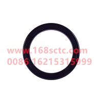 WDF31C-04080-BE1296