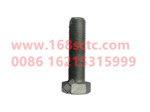 ZQ151B1655TF6-OTHERS-Outer hex bolt M16x1.5x65-LiuJiaoTouLuoShuan
