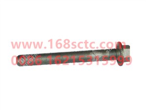 ZQ18112100TF6-OTHERS-Hexagon flange face bearing toothed bolt M12x1.25x100-LiuJiaoTouLuoShuan