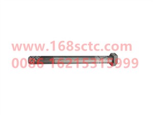 ZQ151B20200TF6-OTHERS-Hex head bolt M20X1.5-LiuJiaoTouLuoShuan