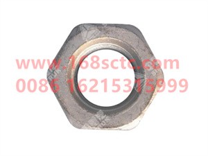 ZQ361B22T13F6-OTHERS-Hex nut type 2 M22x1.5-LiuJiaoTouLuoMu