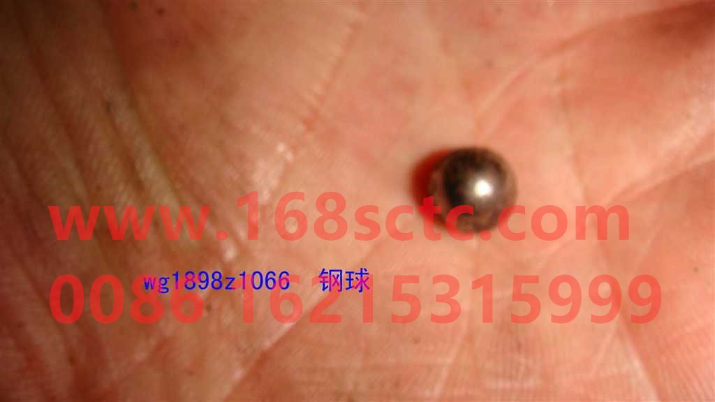 WG1898Z1066