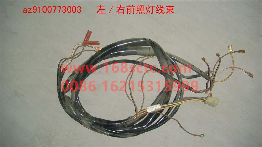 Left/right headlight wiring harness