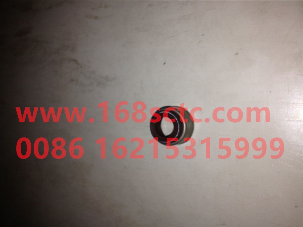 202V04902-0035-SINOTRUK HOWO-exhaust valve stem oil seal-ZhongQiFaDongJiMC11.44-50