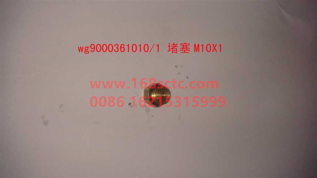 WG9000361010-SINOTRUK HOWO-Plug M10x1-HaoWo2013Kuan