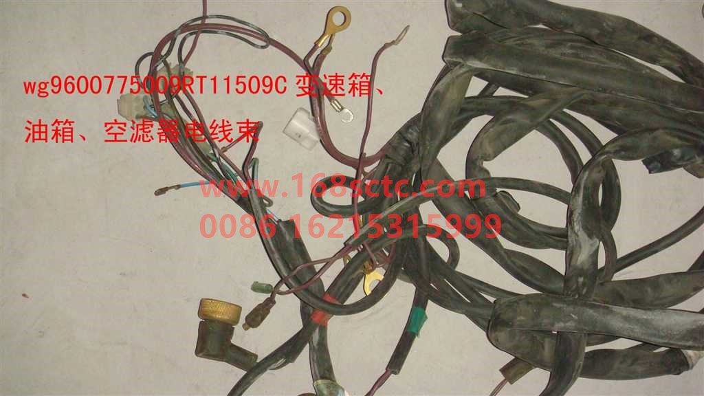 WG9600775009