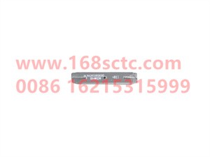 wg9725520282011
