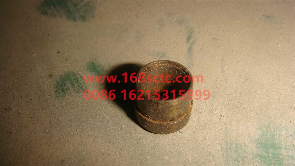 WG9115550083-SINOTRUK HOWO-card cover-SiTaiErM5G