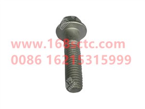 ZQ1841060TF6-OTHERS-Hex flange bolt M10x60-LiuJiaoTouLuoShuan