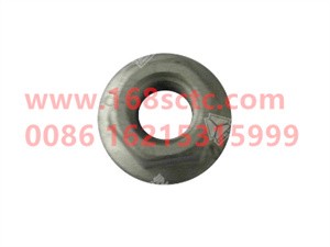 ZQ32006T13F6-OTHERS-Hexagon flange nut M6-LiuJiaoTouLuoMu