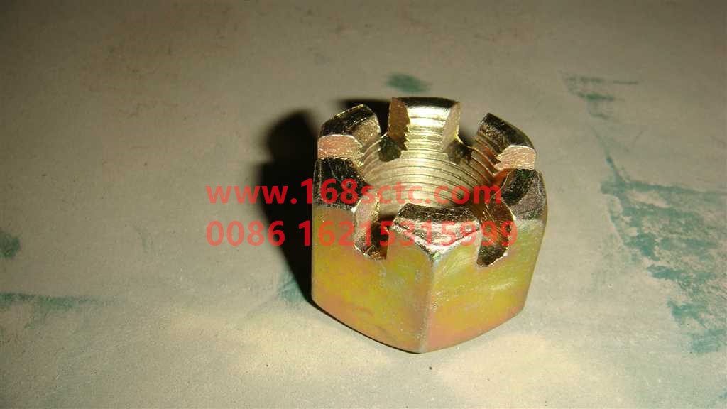 WG9925410105+037-OTHERS-Channel nut 3001M 146-KeManQianQiao