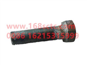 ZQ151B1865TF6-OTHERS-Outer hex bolt M18x1.5x65-LiuJiaoTouLuoShuan