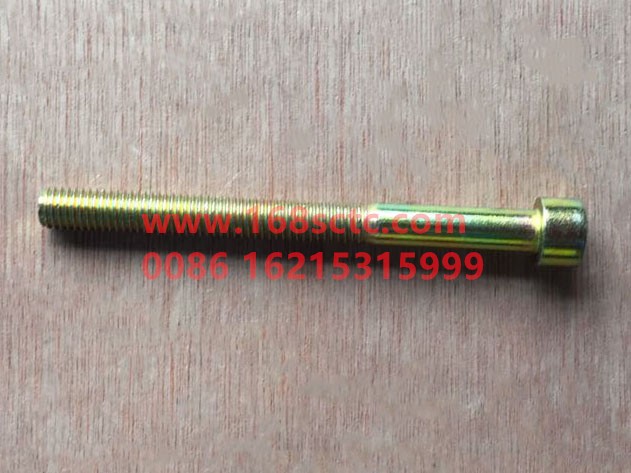 DZ91189360880-SHACMAN-bolt-AoLong2007Kuan