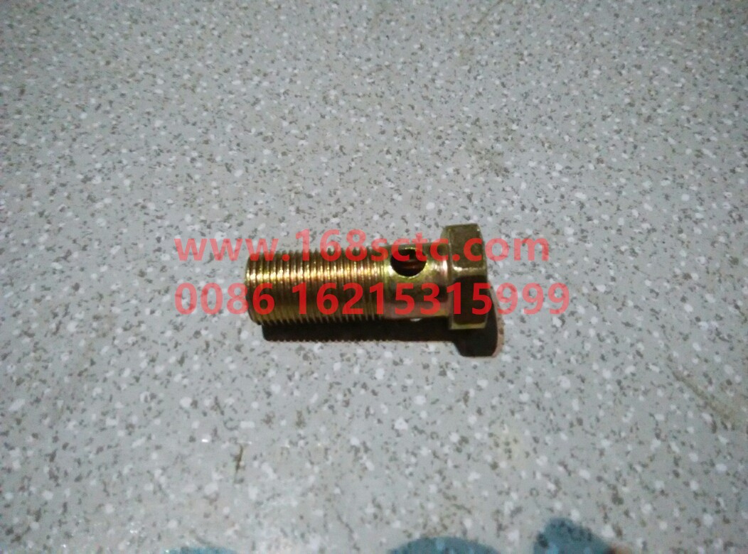 Hollow bolt A20D076236SZN