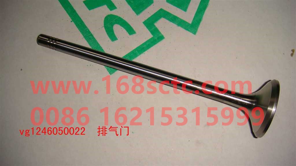 VG1246050022-SINOTRUK HOWO-exhaust valve T12/D12-ZhongQiFaDongJiD1242C01-1