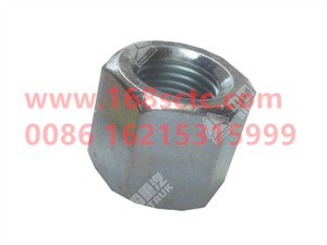 wg9725521031007