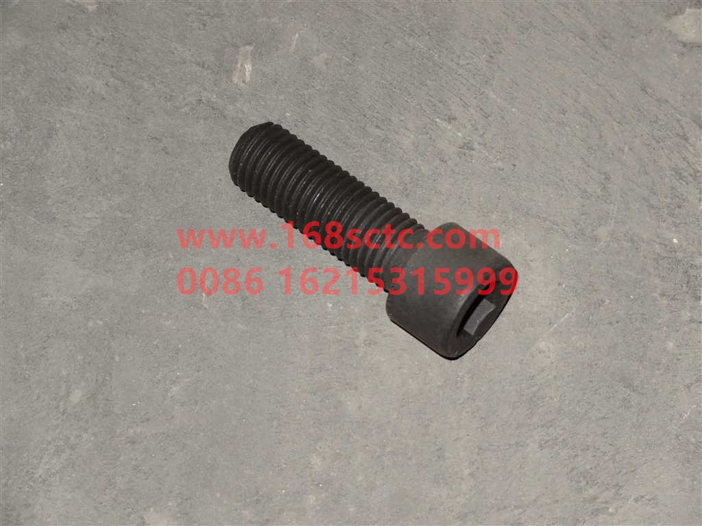 MQ6021912611-OTHERS-Hex socket head cap bolts-LiuJiaoTouLuoShuan