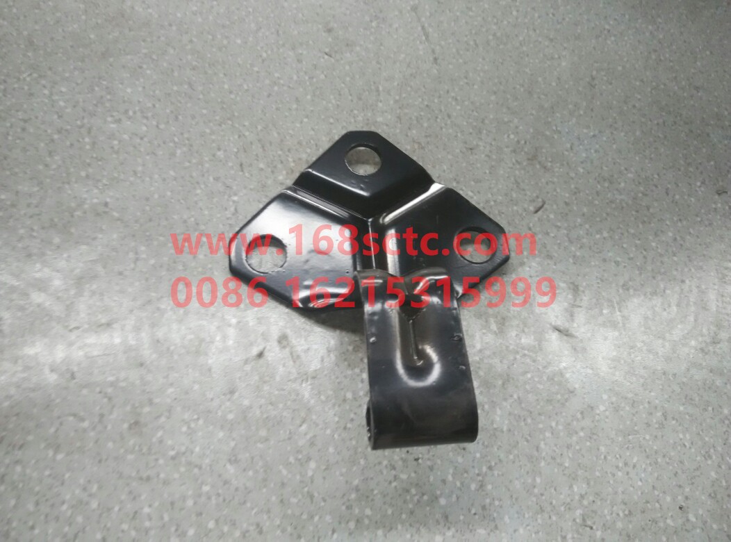 81.62440.0031-SHACMAN-black hinge-DeLongF2000 2014Kuan