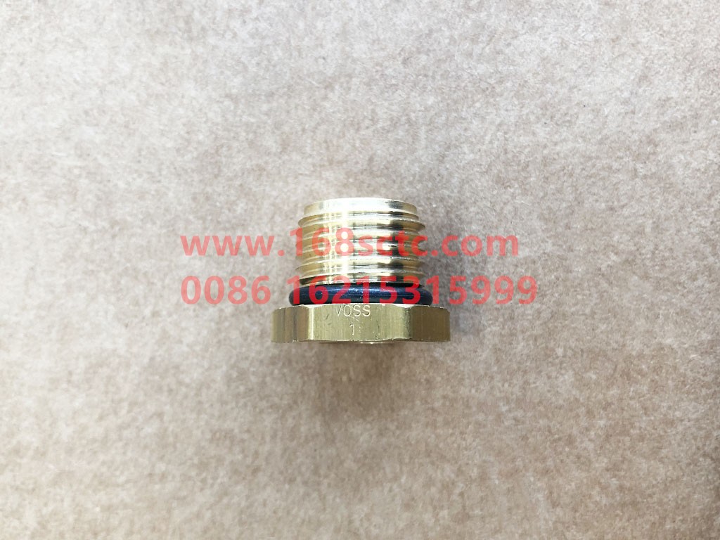 DZ97259366114-SHACMAN-Hex socket-DeLongX3000 2013Kuan