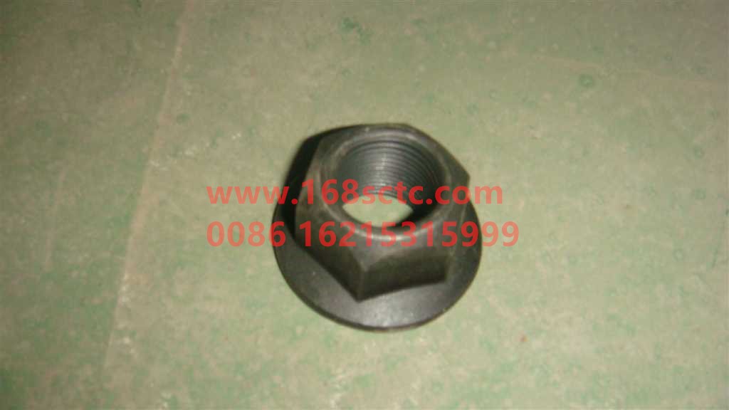 WG9725525115-OTHERS-Hexagon Flange Nut M20x1.5 Grade 10-LiuJiaoTouLuoMu