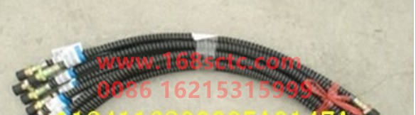 1124116300006
