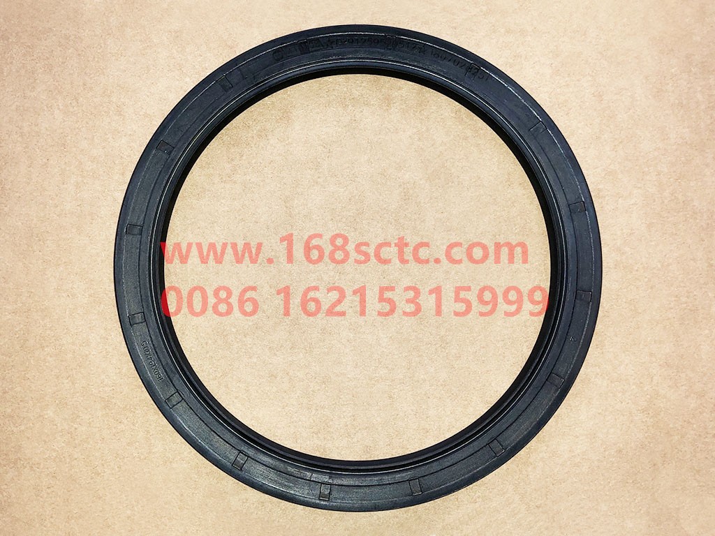 DZ91259520512-SHACMAN-Shaft seal-AoLong2007Kuan