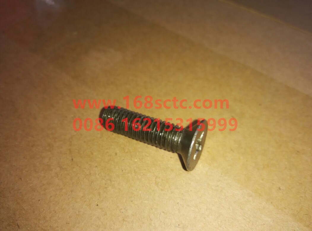Q2540830F31-OTHERS-Phillips countersunk head screw M8x30-LiuJiaoTouLuoShuan