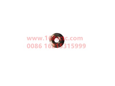 ZQ32006-OTHERS-Hexagon flange nut M6-LiuJiaoTouLuoMu