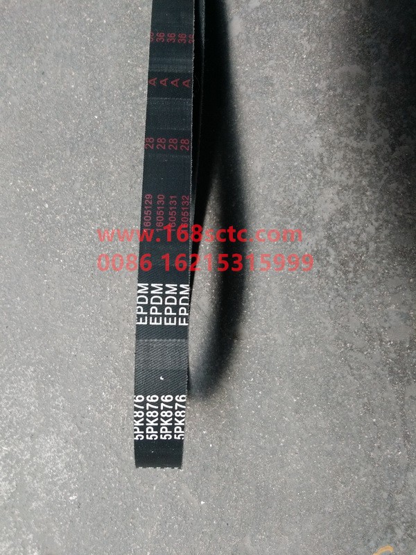 5PK876 5PK876