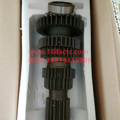 AZ2203030309-SINOTRUK HOWO-Countershaft assembly right (12 gear double oil pump)-ZhongQiBianSuXiangHW19712