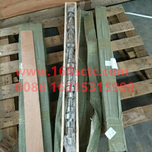 VG1246050001-SINOTRUK HOWO-camshaft D12-ZhongQiFaDongJiT12.42-50