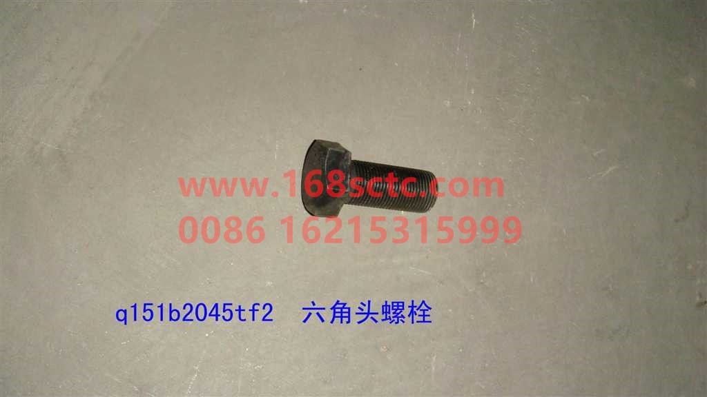 Q151B2045TF2-OTHERS-Hex bolts M20x1.5x45-HanDeHouQiaoSTR